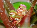 szk071130 009.01.jpg