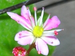 szk071130 011.01.jpg