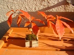 szk071130 012.01.jpg