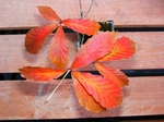 szk071201 005.01.jpg