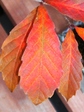 szk071201 006.01.jpg