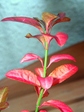 szk071201 012.01.jpg