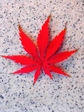 szk071201 015.01.jpg