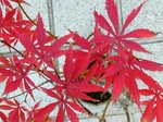 szk071201 020.01.jpg