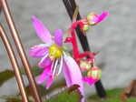 szk071201 024.01.jpg