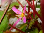 szk071201 025.01.jpg
