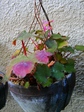 szk071201 029.01.jpg