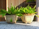 szk071201 036.01.jpg