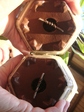 szk071201 037.01.jpg