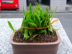 szk071201 039.01.jpg