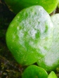 szk071201 043.01.jpg