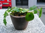 szk071201 057.01.jpg