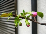 szk071203 003.01.jpg