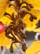szk071204 009.01.jpg