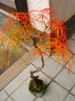 szk071204 022.01.jpg