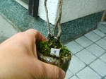 szk071207 010.01.jpg