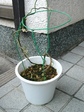 szk071208 018.01.jpg