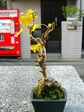 szk071209 012.01.jpg