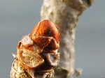 szk071209 014.01.jpg
