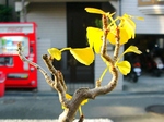 szk071209 017.01.jpg