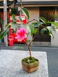 szk071209 033.01.jpg