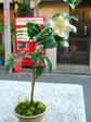 szk071209 039.01.jpg