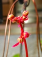 szk071212 008.01.jpg