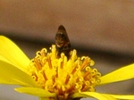 szk071212 010.01.jpg