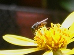 szk071212 011.01.jpg