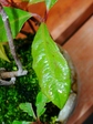 szk071214 011.01.jpg