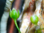 szk071214 016.01.jpg