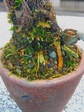 szk071215 006.01.jpg