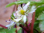 szk071219 012.01.jpg