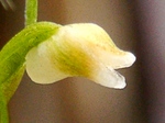 szk071224 008.01.jpg
