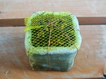 szk071226 005.01.jpg
