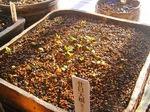 szk071227 003.01.jpg