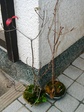szk080111 017.01.jpg