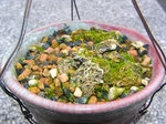 szk080111 021.01.jpg