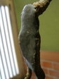 szk080112 011.01.jpg