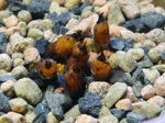 szk080112 013.01.jpg