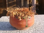 szk080113 006.01.jpg