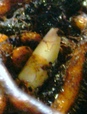 szk080113 009.01.jpg