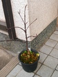 szk080113 013.01.jpg