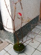 szk080113 017.01.jpg