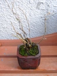 szk080113 021.01.jpg