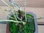 szk080113 022.01.jpg