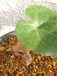 szk080113 036.01.jpg
