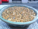 szk080113 046.01.jpg