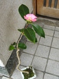 szk080117 018.02.jpg