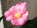 szk080117 022.01.jpg